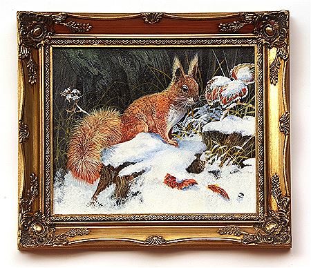 Red Squirrel in Winter