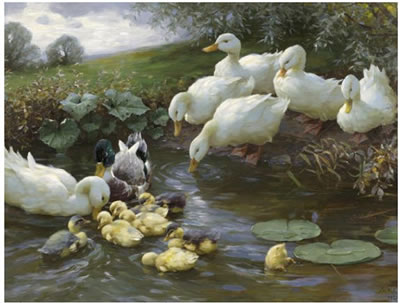 Entenfamilie am Wasser