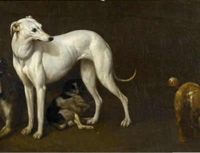 Greyhound by Johan le Ducq - Auction record, sale price, and art valuation. Compare with similar artists and explore comparable artworks.