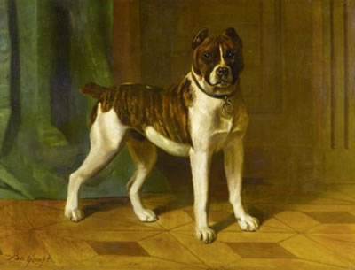 Bullterrier by Bernard Te Gempt - Auction record, sale price, and art valuation. Compare with similar artists and explore comparable artworks.