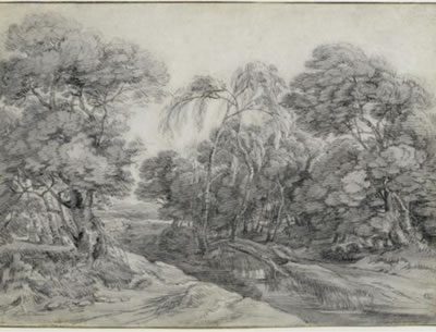 Wooded landscape.