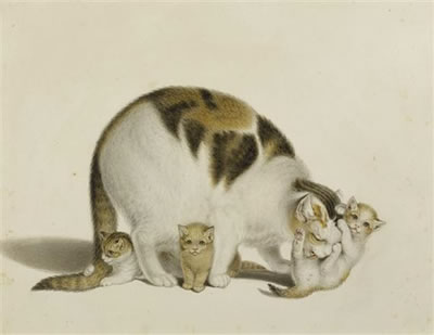 Mother cat with three young. by Gottfried Mind - Auction record, sale price, and art valuation. Compare with similar artists and explore comparable artworks.