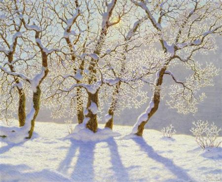 Winter landscape in the sunshine.