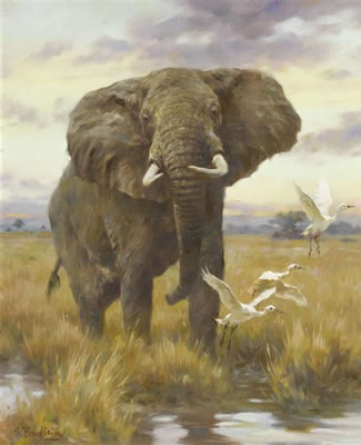 Elefant.