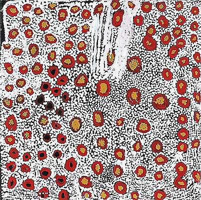 Beanwood Tree Seeds and Rock Holes