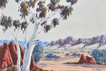 Ghost Gum