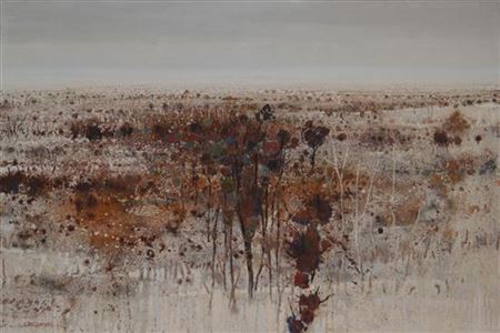 Vast Landscape