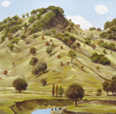 Hill at Bilambil by David Lloyd Preston - Auction record, sale price, and art valuation. Compare with similar artists and explore comparable artworks.