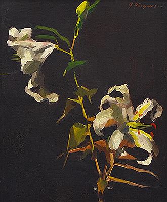Lilies
