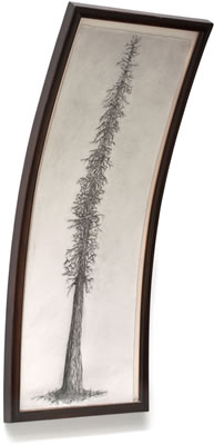 Bent Tree