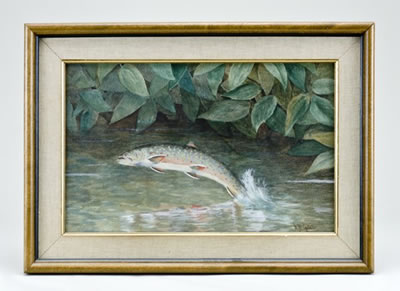 Leaping brook trout
