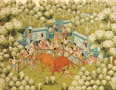 Adu Banteng