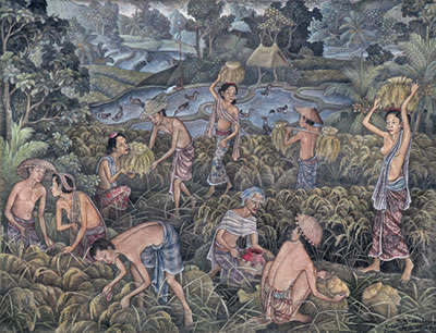 Panen Padi
