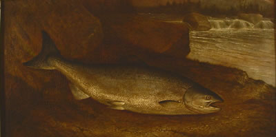 "Salmon, A Prince of the Finny Tribe"