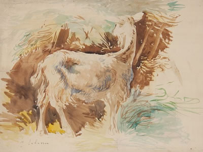 La chèvre.