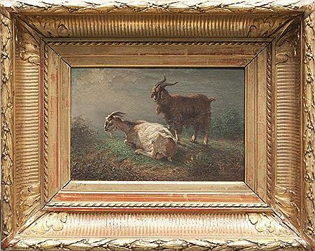 Bouc et chèvre.