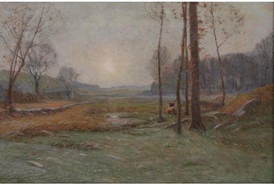 Frosty Morning