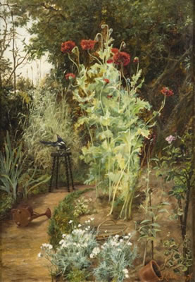 LA GAZZA LADRA