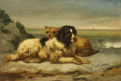 TWO DOGS AT THE COAST by Edouard Woutermaertens - Auction record, sale price, and art valuation. Compare with similar artists and explore comparable artworks.