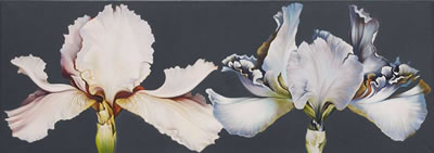 DOUBLE IRIS PAINTING 1972