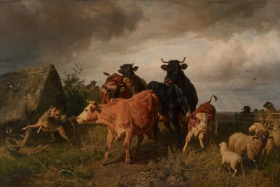 CATTLE AND SHEEP ON A FIELD