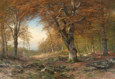 LATE AUTUMN IN A BEECH FOREST
