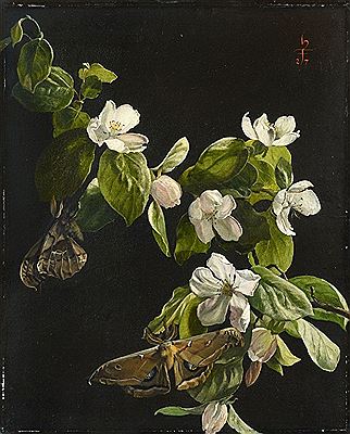 Quince Flowers and Butterflies by Hans Frank - Auction record, sale price, and art valuation. Compare with similar artists and explore comparable artworks.