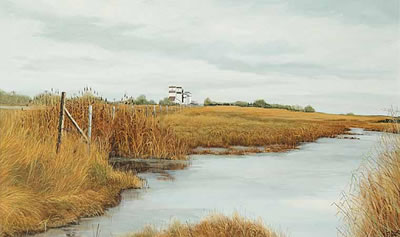 Slough near Mundare