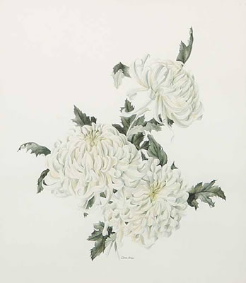 White Chrysanthemums by Caren Heine - Auction record, sale price, and art valuation. Compare with similar artists and explore comparable artworks.