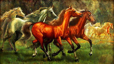 8 Horses