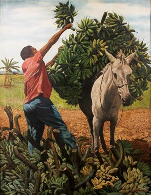 Bountiful Harvest