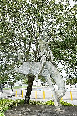 Horse and Rider