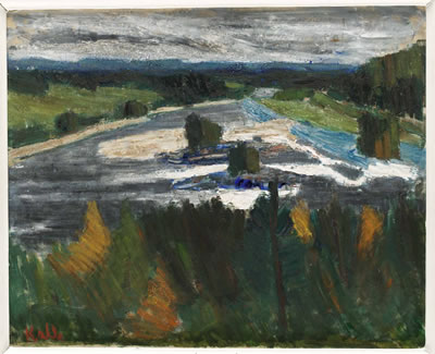 Nämforsen