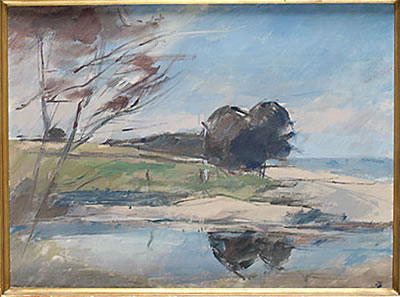 Sommarlandskap, Österlen