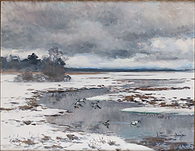Knipor vid vintersjö