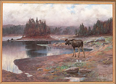 Älg på myr