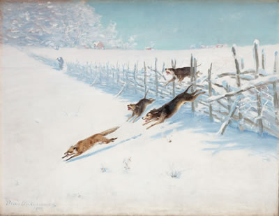 Fox hunt