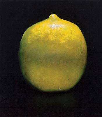 Lemon on green, 1991