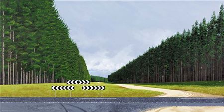 Pine Forest, Nangwarry 2012