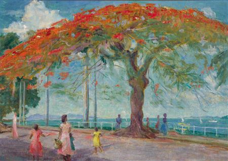 Poinciana Tree, Victoria Parade, Suva 1954