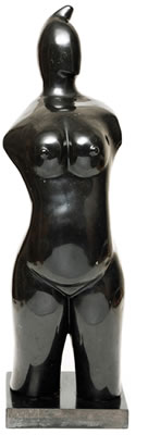 Women´s torso