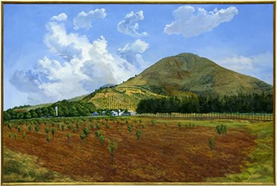 Vista de casa en Rancho Los Alcatraces