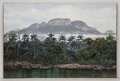 Orilla, niebla y mogotes