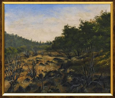 Pedregal