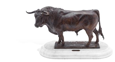 TORO