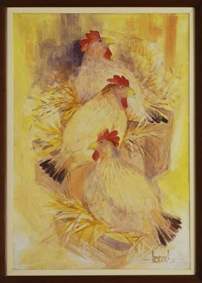 Gallos