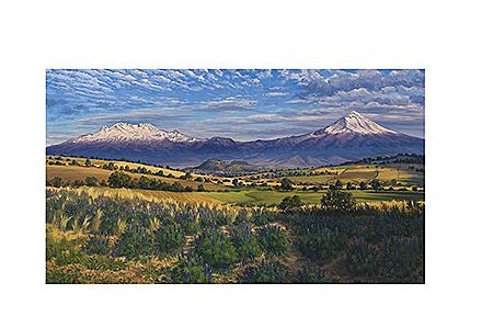 Lupinos y volcanes al caer la tarde