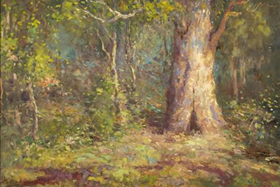 The Heart of the Bush, Macedon