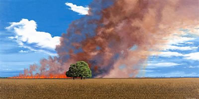 Stubble Fire