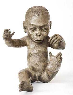 Monkey Baby